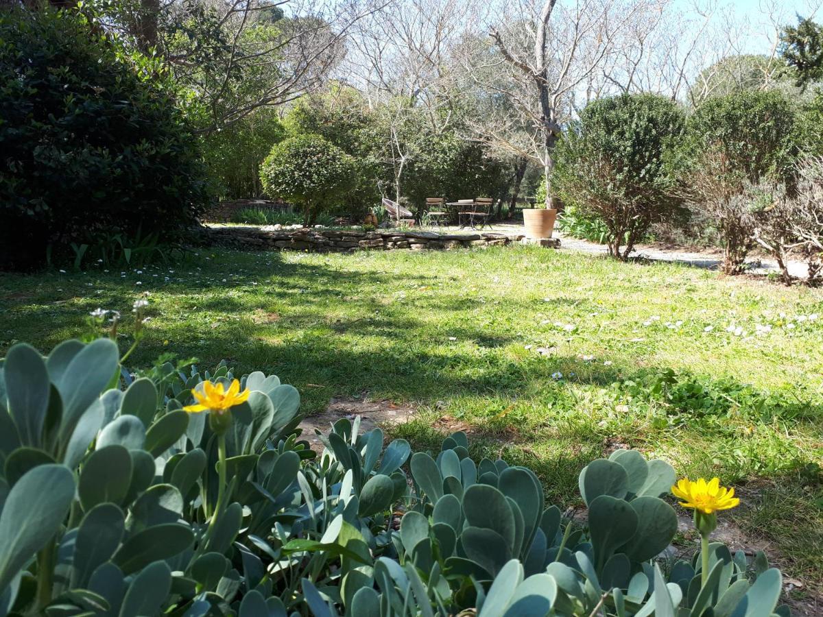 Aux Berges Du Pont Du Gard Bed and Breakfast Vers-Pont-du-Gard Buitenkant foto