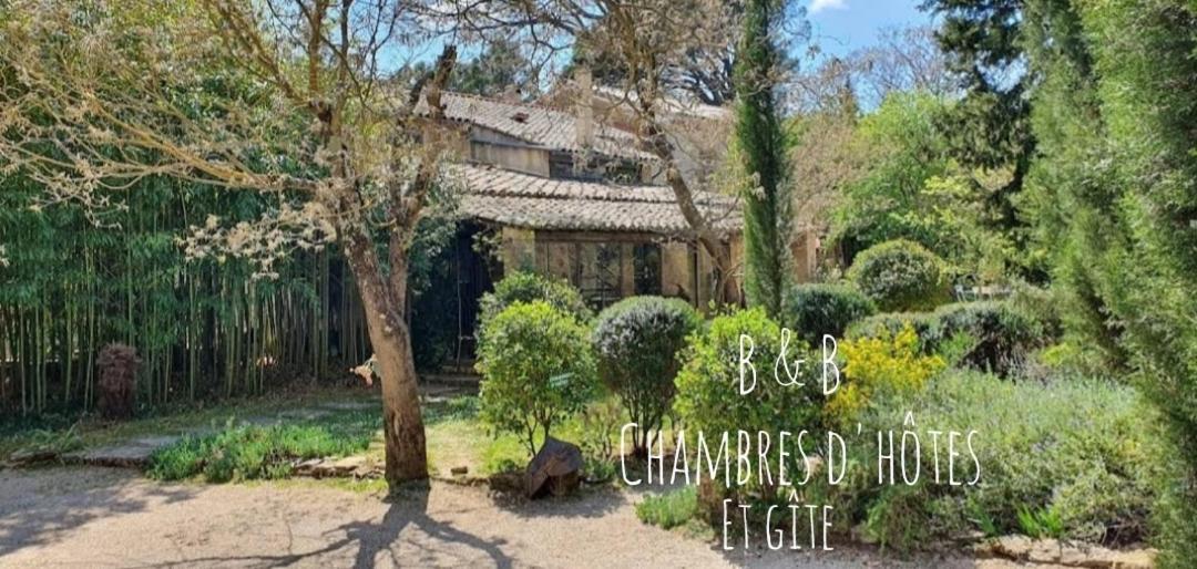 Aux Berges Du Pont Du Gard Bed and Breakfast Vers-Pont-du-Gard Buitenkant foto