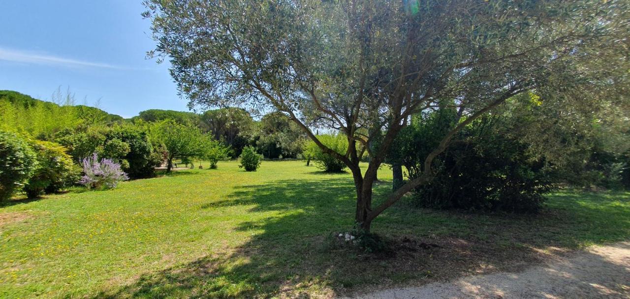 Aux Berges Du Pont Du Gard Bed and Breakfast Vers-Pont-du-Gard Buitenkant foto